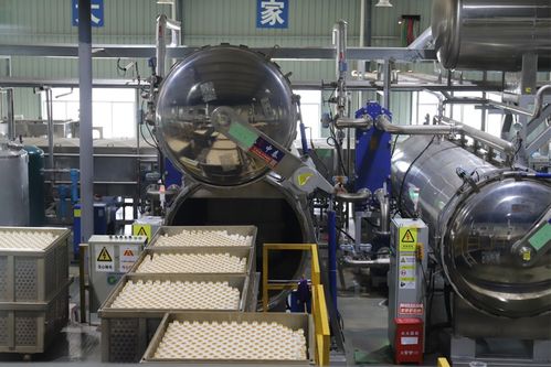 贵州阳光食品公司 做强精深加工 小核桃做出大产业